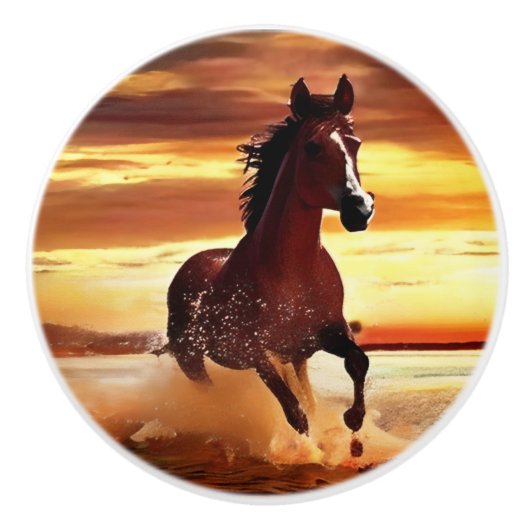 Bouton De Porte En Céramique Randonnée À Cheval Sauvage À Travers Le Surf (Devant)