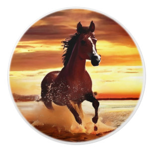 Bouton De Porte En Céramique Randonnée À Cheval Sauvage À Travers Le Surf
