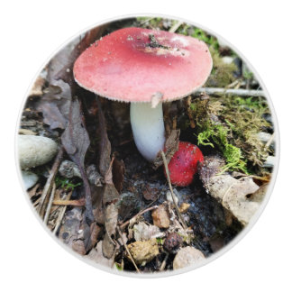 Bouton De Porte En Céramique Red Mushroom Fairy Ceramic Knob