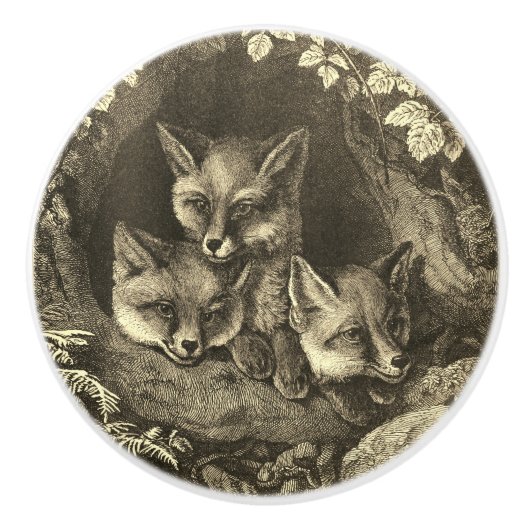 Bouton De Porte En Céramique Renard vintage (Devant)