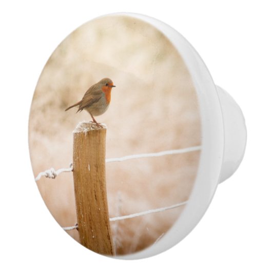 Bouton De Porte En Céramique Robin d'hiver Redsein (Droite)