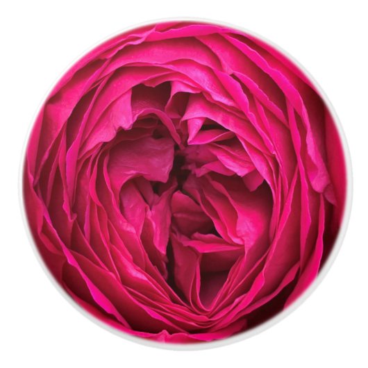 Bouton De Porte En Céramique Rose anglais Magenta (Devant)