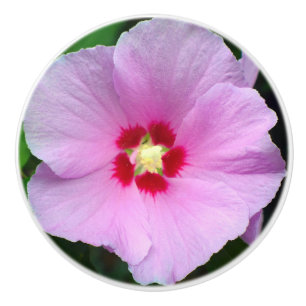Bouton De Porte En Céramique Rose de Sharon Ceramic Knob