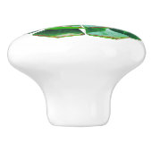 Bouton De Porte En Céramique Rosette Succulent Ceramic Knob (Côté)