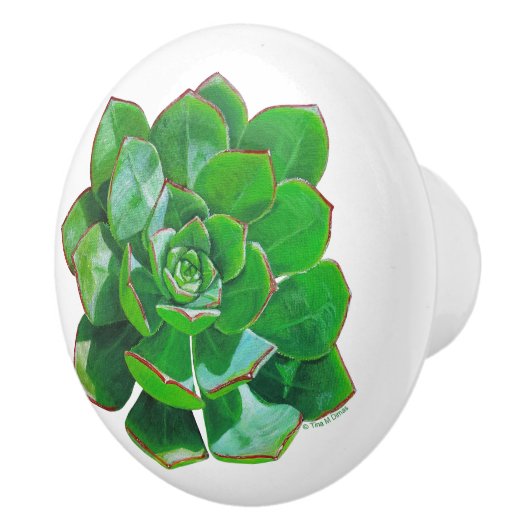 Bouton De Porte En Céramique Rosette Succulent Ceramic Knob (Droite)
