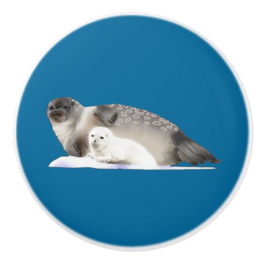 Bouton De Porte En Céramique Sceau annelé (Devant)