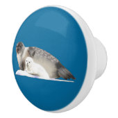 Bouton De Porte En Céramique Sceau annelé (Droite)