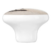 Bouton De Porte En Céramique Seagull on Virginia Beach (Côté)