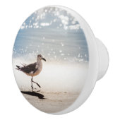 Bouton De Porte En Céramique Seagull on Virginia Beach (Droite)
