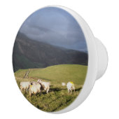 BOUTON DE PORTE EN CÉRAMIQUE SHEEP (Droite)