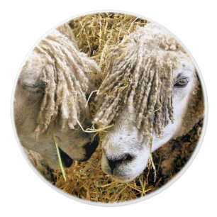 BOUTON DE PORTE EN CÉRAMIQUE SHEEP