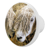 BOUTON DE PORTE EN CÉRAMIQUE SHEEP (Droite)