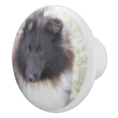 Bouton De Porte En Céramique Sheltie noir et blanc (Droite)