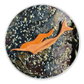 Bouton De Porte En Céramique sirène de plongée sous-marine (Devant)