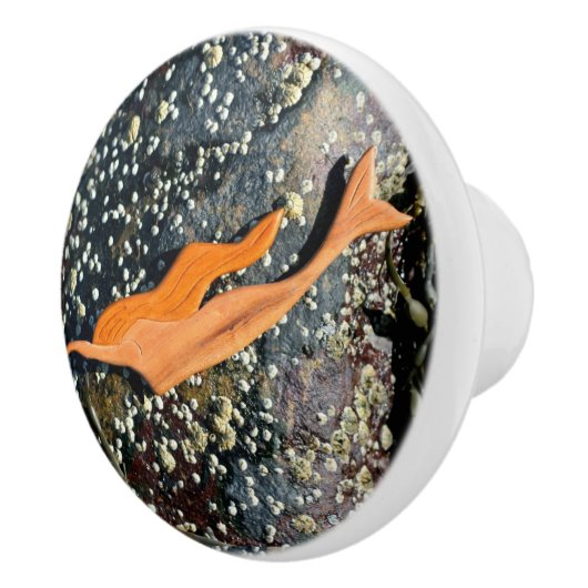 Bouton De Porte En Céramique sirène de plongée sous-marine (Droite)