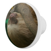 Bouton De Porte En Céramique Sloth (Droite)