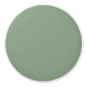 Bouton De Porte En Céramique Soft Basil Green, Muted Neutral Solid Color