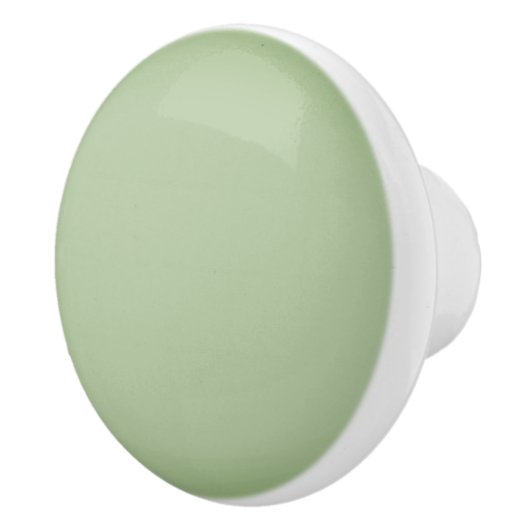 Bouton De Porte En Céramique Solid Jade Green Celadon  (Droite)