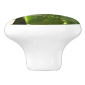 Bouton De Porte En Céramique Spiderweb dans Tropical Leaves Nature (Côté)