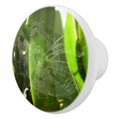 Bouton De Porte En Céramique Spiderweb dans Tropical Leaves Nature (Droite)