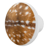 Bouton De Porte En Céramique Spotted deer pour texture (Droite)