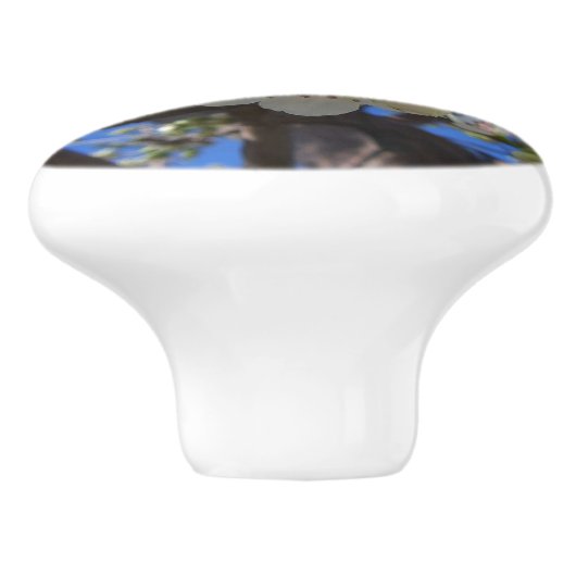 Bouton De Porte En Céramique Spring Flowering Pear Tree (Côté)