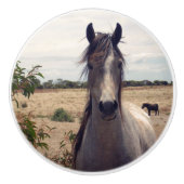 Bouton De Porte En Céramique Star The Arab Pony, (Devant)