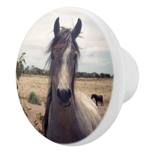 Bouton De Porte En Céramique Star The Arab Pony, (Droite)