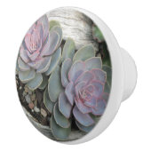 Bouton De Porte En Céramique Succulent Ceramic Knob (Droite)