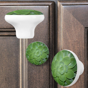 Bouton De Porte En Céramique Succulentes Vertes Photographie Botanique