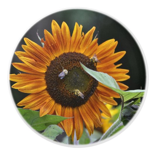 Bouton De Porte En Céramique Sunflower & Bee Ceramic Knob (Devant)