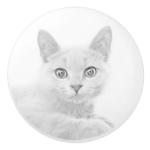 Bouton De Porte En Céramique SUPER CUTE Kitten Portrait Photographie