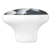 Bouton De Porte En Céramique Tabby Kitten (Côté)