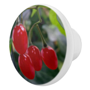 Bouton De Porte En Céramique Taches rouges d'automne