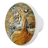 Bouton De Porte En Céramique Tigre (Droite)