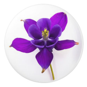 Bouton De Porte En Céramique Tirage en céramique Orchidée violette