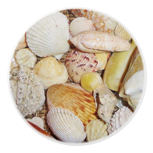 Bouton De Porte En Céramique Tiroir de coquillages (Devant)