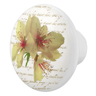 Bouton De Porte En Céramique Tiroir Fleurs Françaises