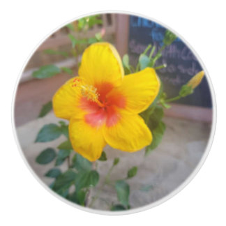 Bouton De Porte En Céramique Tiroir Hibiscus Fleur - Photographie Originale