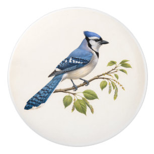 Bouton De Porte En Céramique Tiroir Oiseau Bleu Vintage