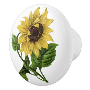 Bouton De Porte En Céramique Tournesol