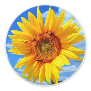 Bouton De Porte En Céramique Tournesol et Bees Ceramic Knob