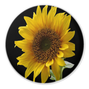 Bouton De Porte En Céramique Tournesol noueux