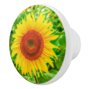 Bouton De Porte En Céramique Tournesols heureux géants jaunes lumineux