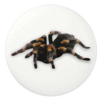 Bouton De Porte En Céramique traction d'araignée