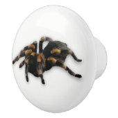 Bouton De Porte En Céramique traction d'araignée (Droite)