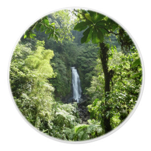 Bouton De Porte En Céramique Trafalgar Falls Tropical Rainforest Photographie
