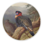 Bouton De Porte En Céramique Tragopan occidental, Illustrations d'oiseaux (Devant)