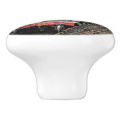 BOUTON DE PORTE EN CÉRAMIQUE TRAINS À VAPEUR (Côté)