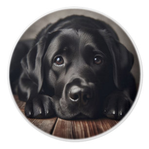 Bouton De Porte En Céramique Triste Black Labrador Retriever Chien Animal anima